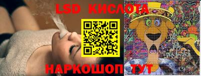 ПСИЛОЦИБИНОВЫЕ ГРИБЫ Кандалакша