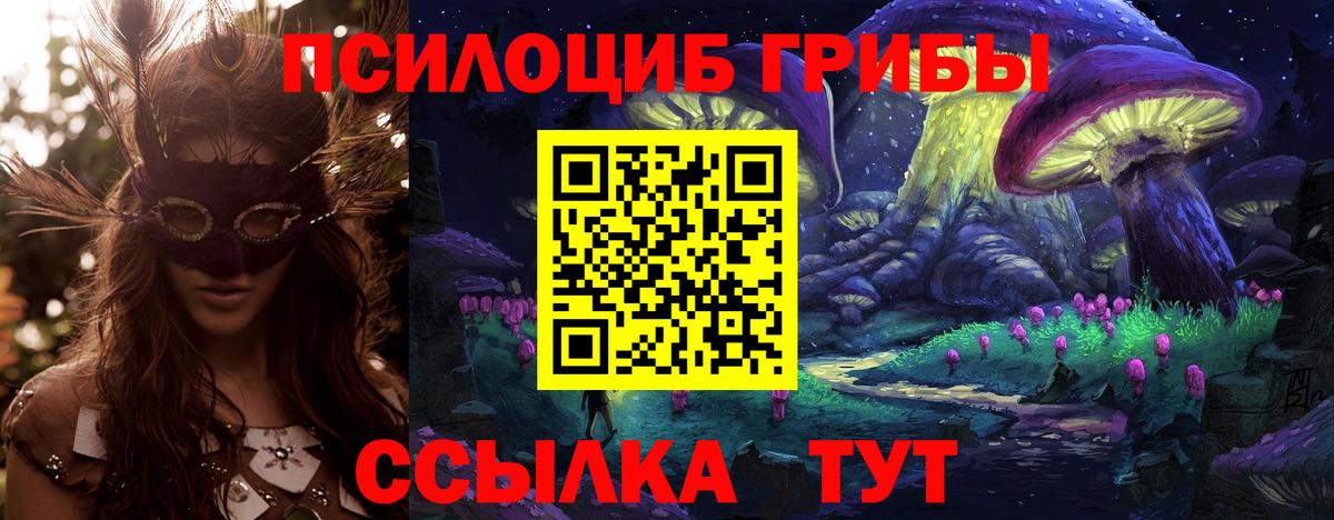 Псилоцибиновые грибы Psilocybine cubensis  Псилоцибиновые грибы GOLDEN TEACHER  Коряжма  Вход с VPN 